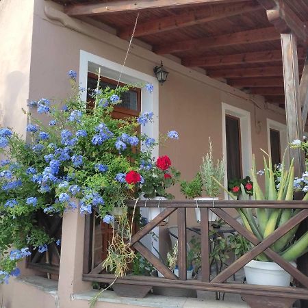 Plumbago Apartment Theologos  外观 照片